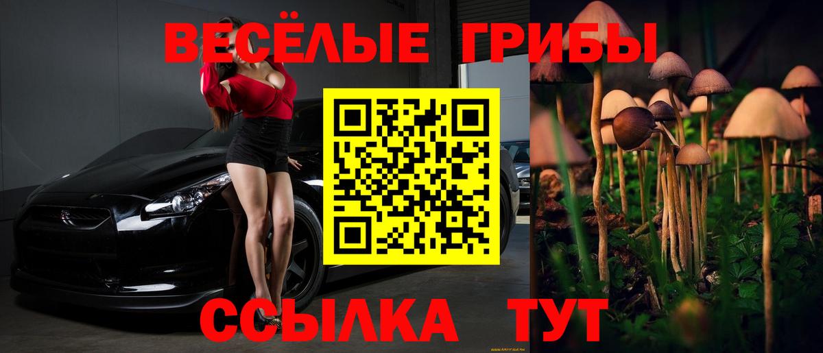 Галлюциногенные грибы ЛСД  Галлюциногенные грибы прущие грибы  Вход с VPN  Кушва 